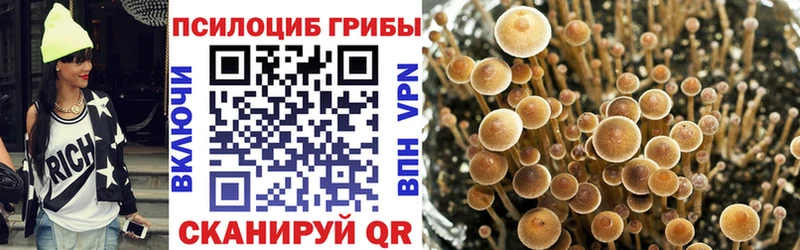 Псилоцибиновые грибы Magic Shrooms Казань